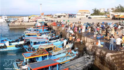 Phu Quy special zone leverages tourism, fisheries for sustainable development