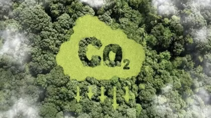 Ministry establishes monitoring framework for carbon market