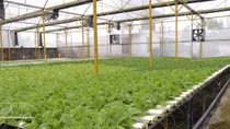 Incentive policies for high-tech agricultural zones