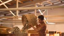 Phu Quoc fish sauce recognised as traditional craft