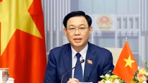 Top Vietnamese, Singaporean legislators hold online talks