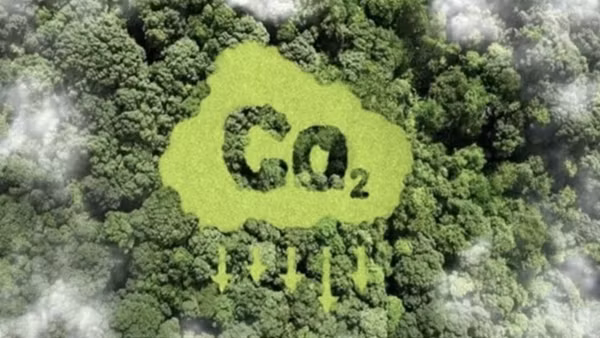 Ministry establishes monitoring framework for carbon market
