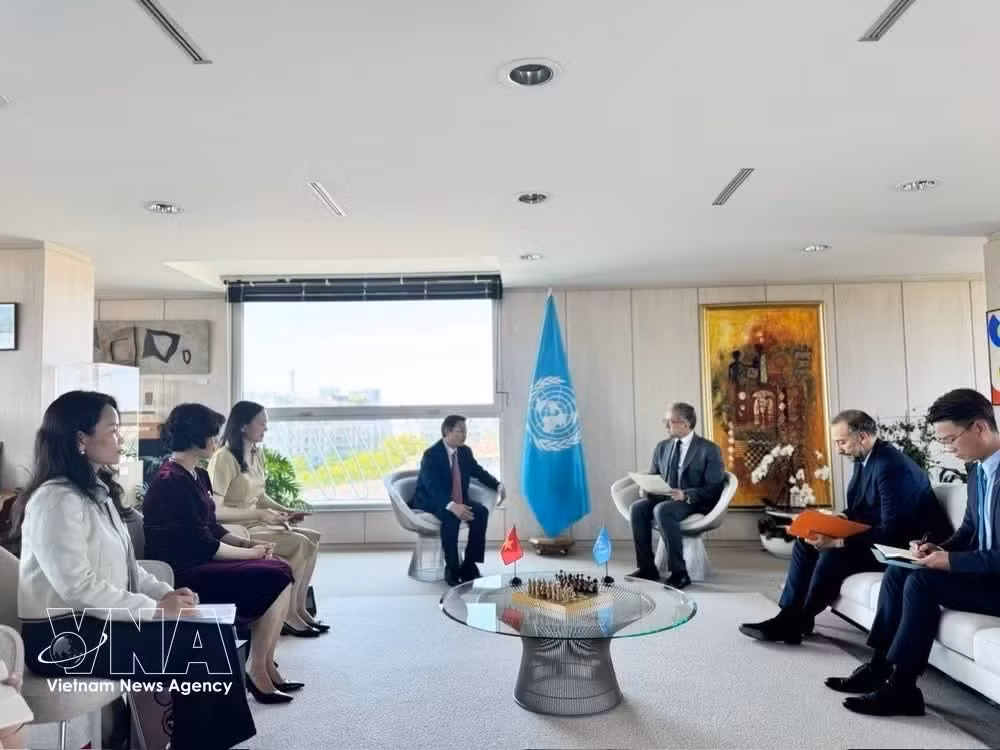 At the meeting between Deputy Minister of Foreign Affairs Ngo Le Van and UNESCO Director-General Khaled El-Enany. (Photo: VNA)