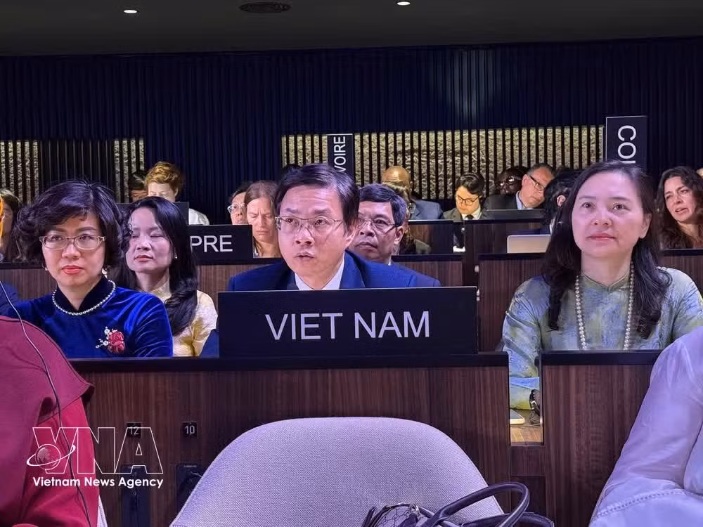 Deputy Minister of Foreign Affairs Ngo Le Van speaks at the session. (Photo: VNA)