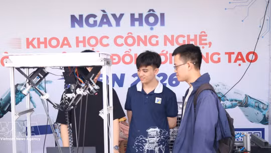 Government issues mechanisms to attract experts, young talent to data innovation, exploitation