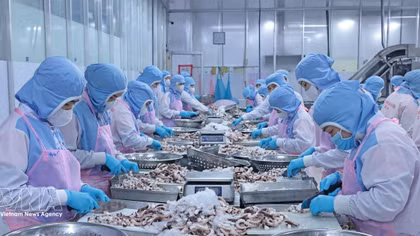 New opportunities for Vietnam's seafood exports