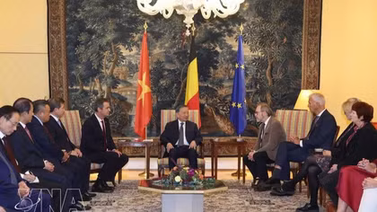 Top Vietnamese leader meets with Belgian Senate Speaker, House President