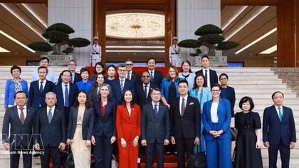 Vietnam to make more active, responsible contributions to UN efforts: PM