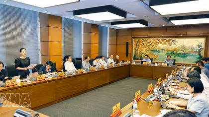 Top legislator warns against trading environment for growth in law revision