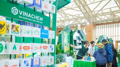 Vietnamese enterprises renew growth model to move up global value chains