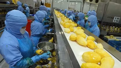 Vietnam's fruit, vegetable exports eye 10 billion USD milestone