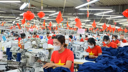 Institutional reforms provide boost for business growth
