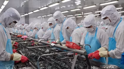 VEFTA opens up new export opportunities for Vietnamese goods