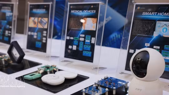 Vietnam should prioritise chip manufacturing, packaging: Japanese expert