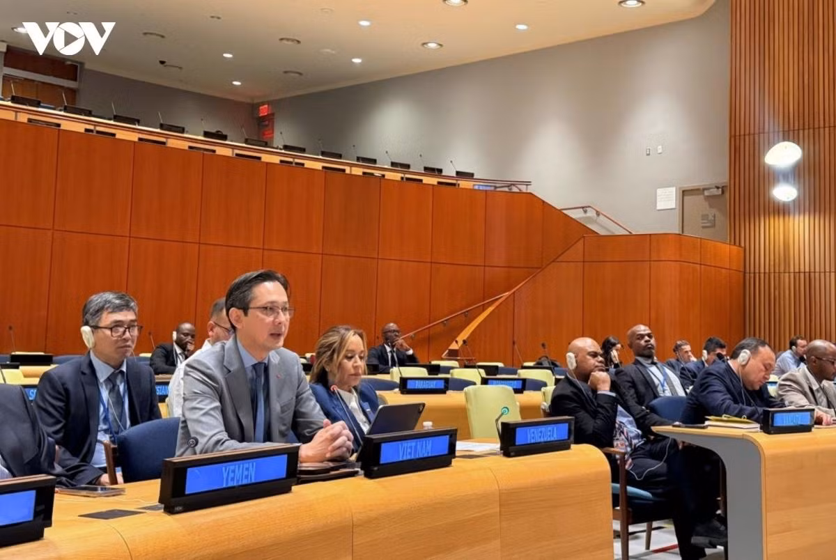 Ambassador Do Hung Viet, Permanent Representative of Vietnam to the United Nations, speaks at the meeting