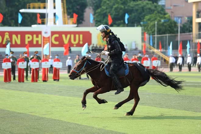 Given the complicated developments of crimes, the Cavalry Mobile Police Corps has been set up to strengthen the fighting capacity for mobile police forces.