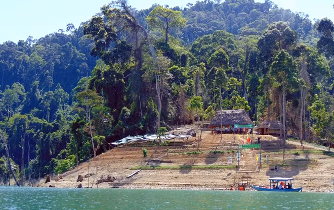 Song Thanh Nature Reserve.
