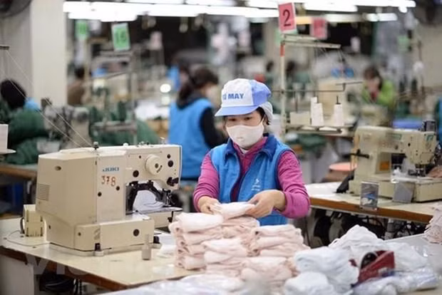 Along with the production of the masks, Dong Xuan company will maintain the production of 300,000 two-layer anti-bacteria masks every day at a price of 7,000 VND each. (Photo: VNA)