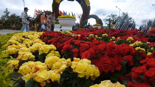 The 7th Da Lat Flower Festival is scheduled for December 23-27 with the theme "Flowers of Da Lat - wonderful quintessence of good soil".