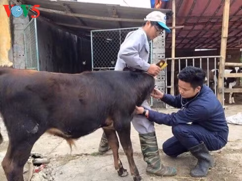 Teacher Nguyen Van Minh of the Department of Veterinary Medicine at Vietnam National University of Agriculture has created many initiatives to create employment opportunities for his students.