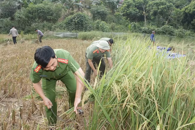 Colonel Nguyen Thanh Tuan, Deputy Director of the Bac Can Provincial Public Security Department was also in the field to check the situation and to help local villagers.