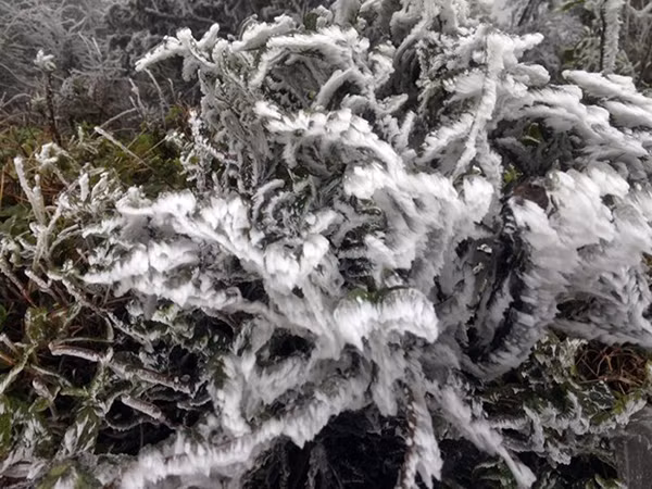 This is the strongest cold snap that has affected northern Vietnam since the beginning of the winter. Like some other provinces, Lang Son has seen temperatures decrease sharply, by 7-10 degrees, on average.