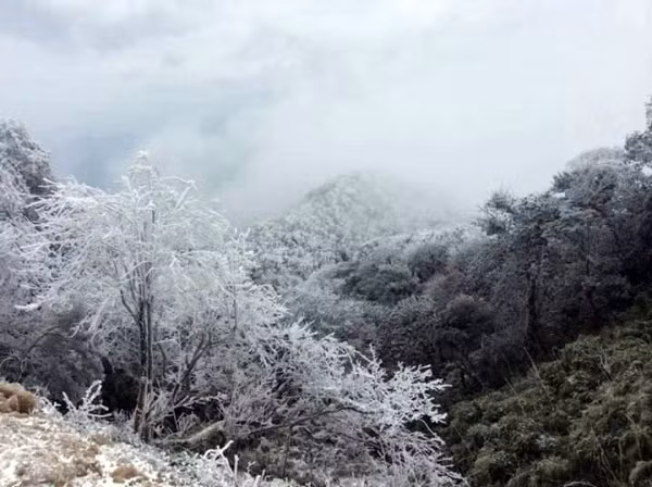 Over the next three days, severe cold weather is also predicted to blanket delta provinces, and the temperature is forecast to drop to zero in several mountainous areas with frost likely.