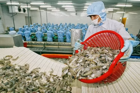 Vietnam earns US$33.62 billion from exports in two months ảnh 1