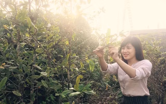 Young woman of the “Miet thu” (the land, stretching along the Gulf of Thailand in the two districts of An Minh and An Bien, Kien Giang province) at the flower market.