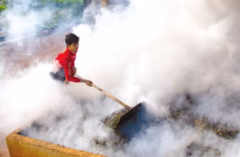 Competition in farm-material growing areas heats up.