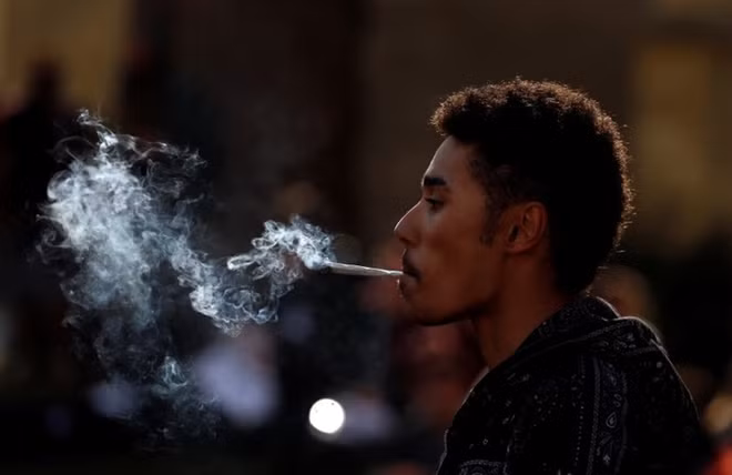 Denying it has lost war on drugs, UK rules out legalizing cannabis ảnh 1