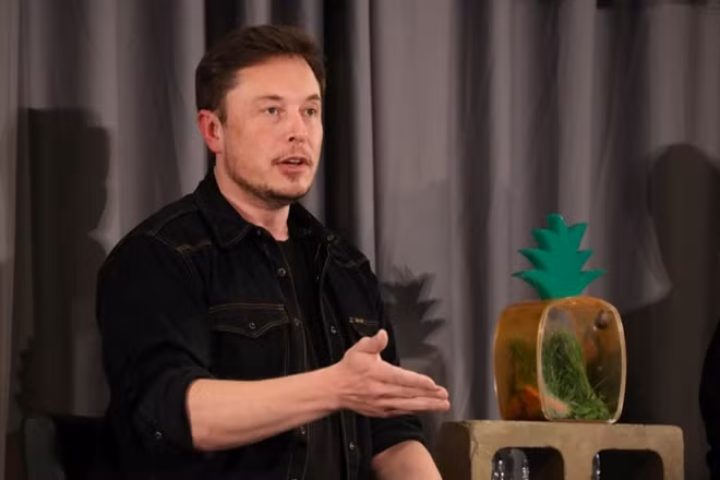 Tesla's Musk apologizes for his comments on British caver ảnh 1
