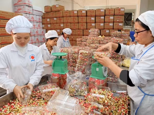 Korean businessmen to explore opportunities in food processing industry of Vietnam.