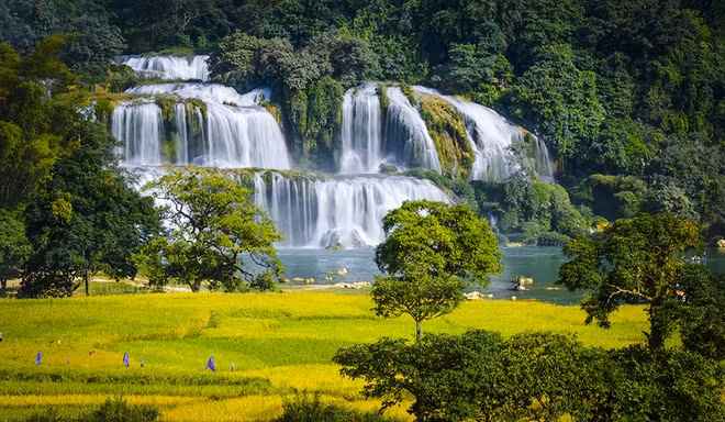 The Ban Gioc Falls in Cao Bang Province near the border with China is one of the most beautiful sights in Vietnam. It is not even at its best during this time of year, but it still adds to a perfect picture of the harvest season in the province's highlands, which is 340 kilometers to the north of Hanoi.