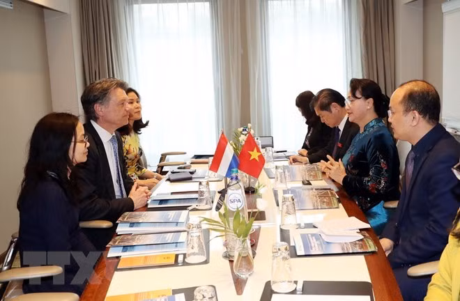 Vietnamese delegates (R) meet with representatives from the Port of Rotterdam International (Source: VNA)
