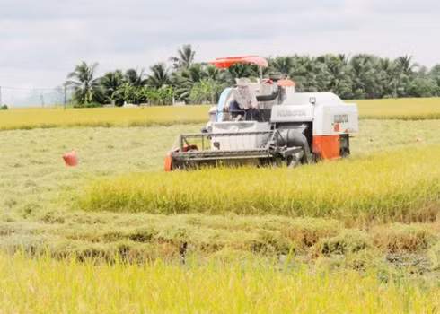 Agricultural restructuring in response to climate change ảnh 1