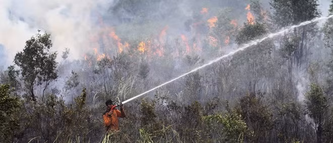 Indonesia: Over 39,000 people affected by haze smoke ảnh 1