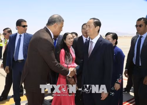 President Tran Dai Quang was welcomed at the airport by authorities of Luxor (Photo: VNA)