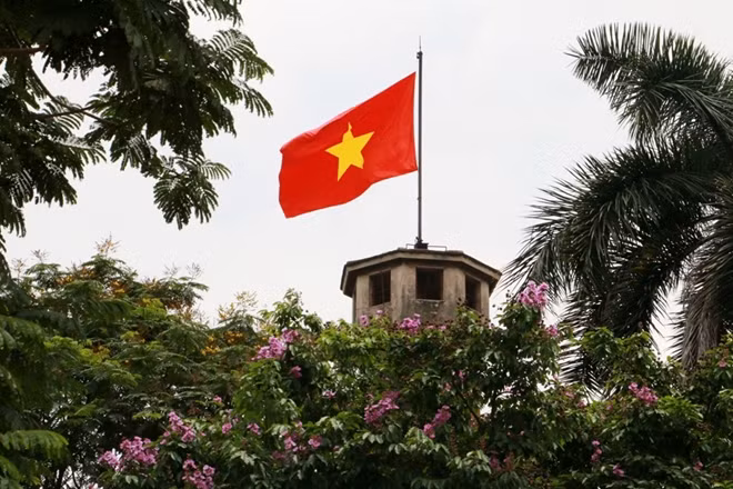 Purple crape myrtle flower in front of Hanoi Flag Tower.