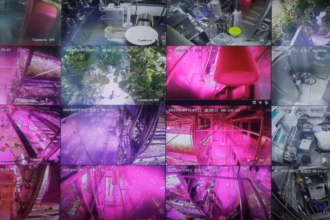 Screens in a control room show images from inside a simulated space cabin in which volunteers temporarily live as a part of the scientistic Lunar Palace 365 Project, at Beihang University in Beijing, China July 9, 2017. REUTERS/Damir Sagolj