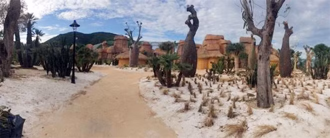 The Africa area.