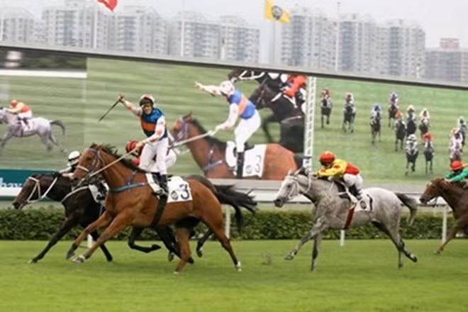 Illustrative photo (Photo: laodong.vn)