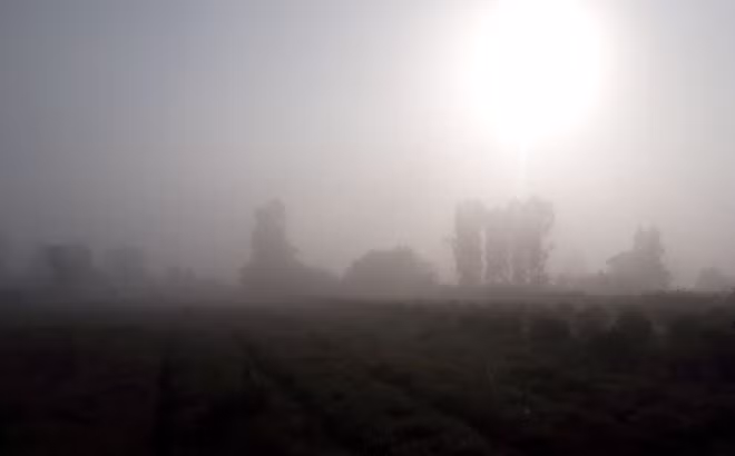 The unusual foggy weather would not only lead to traffic difficulties and risks, but also harm agricultural crops.