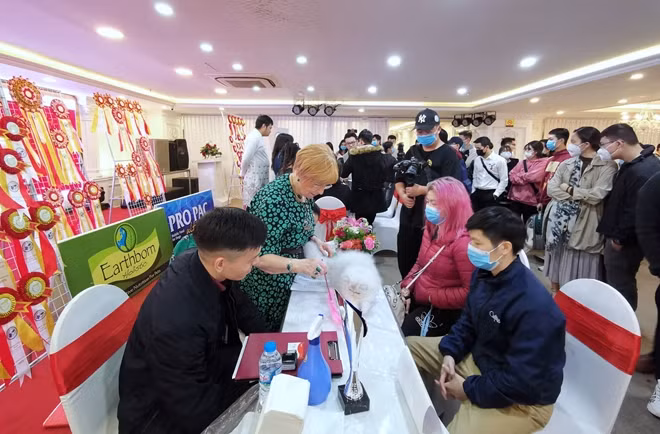 First ever cat show organized in Hanoi ảnh 1