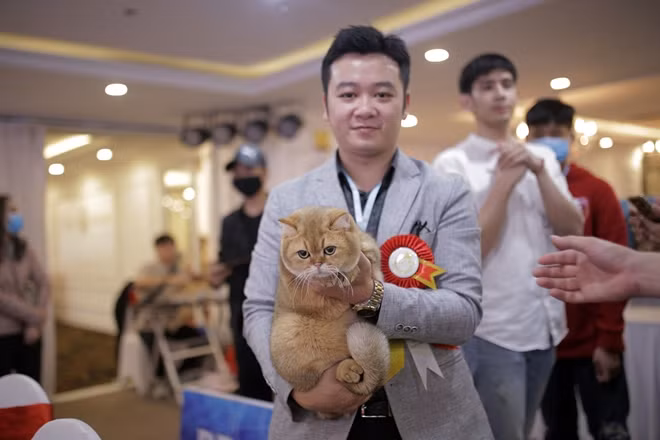 First ever cat show organized in Hanoi ảnh 5