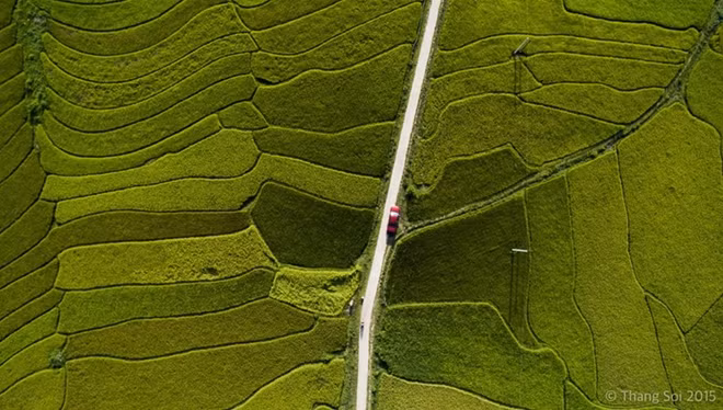 Lai Chau