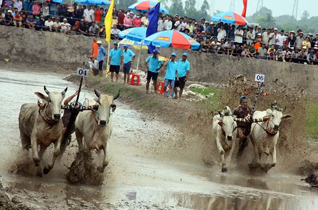 Several photos of the race