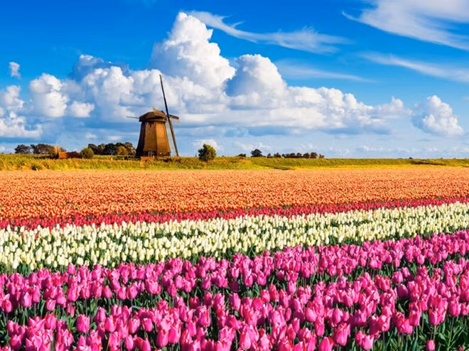 Keukenhof Park, Holland: The Netherlands