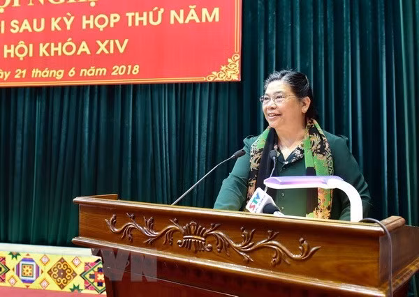 National Assembly Vice Chairwoman Tong Thi Phong (Source: VNA)