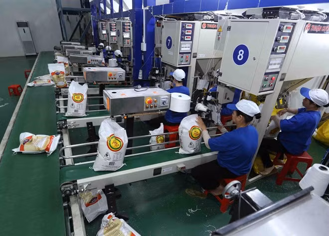 Businesses based in Ho Chi Minh City exported 38.32 billion USD worth of goods in 2018 (Photo: VNA)